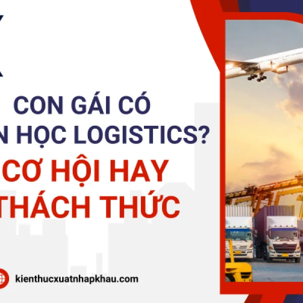 Con Gái Có Nên Học Logistics? Cơ Hội Hay Thách Thức