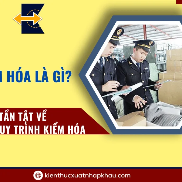 Kiểm Hóa Là Gì? Tất Tần Tật Về Quy Trình Kiểm Hóa