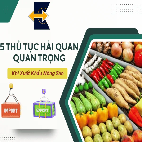 5 Thủ Tục Hải Quan Quan Trọng Khi Xuất Khẩu Nông Sản