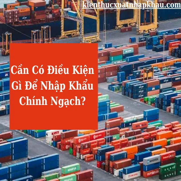 Cần Có Điều Kiện Gì Để Nhập Khẩu Chính Ngạch?