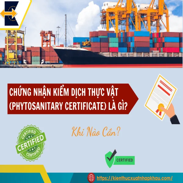 Chứng Nhận Kiểm Dịch Thực Vật (Phytosanitary Certificate) Là Gì? Khi Nào Cần?