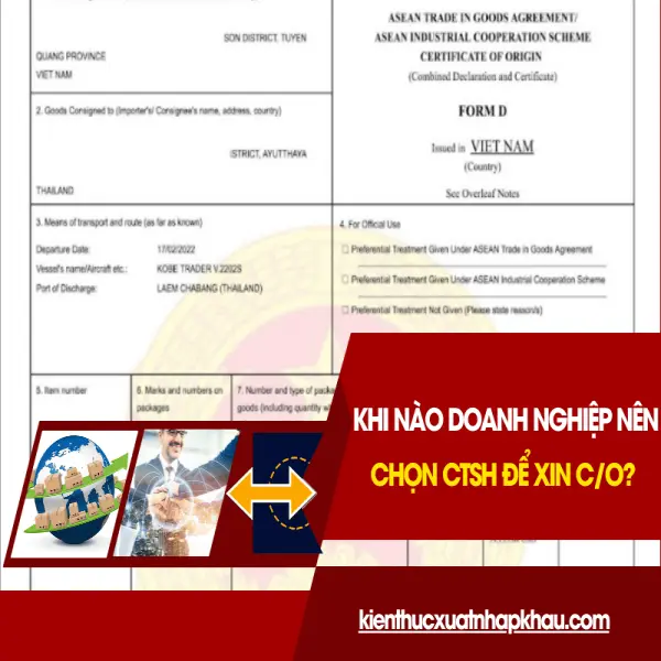 Khi Nào Doanh Nghiệp Nên Chọn CTSH Để Xin C/O?