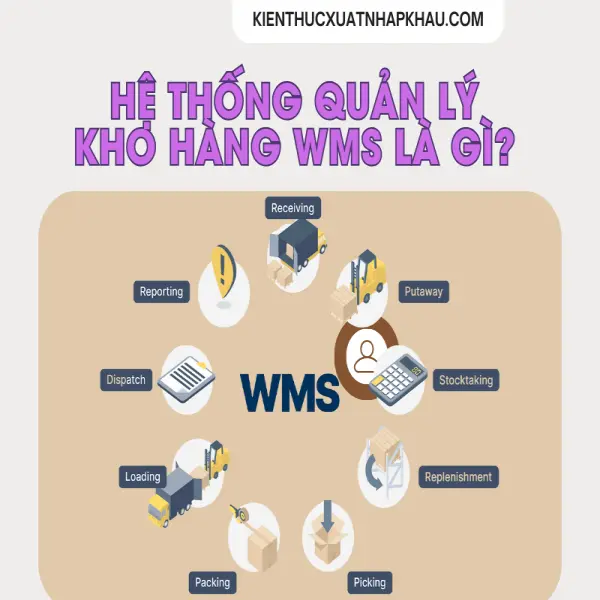 Hệ Thống Quản Lý Kho Hàng Wms Là Gì? Tìm Hiểu Chi Tiết