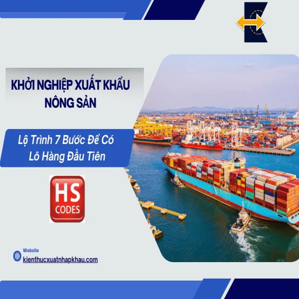 Khởi Nghiệp Xuất Khẩu Nông Sản: Lộ Trình 7 Bước Để Có Lô Hàng Đầu Tiên