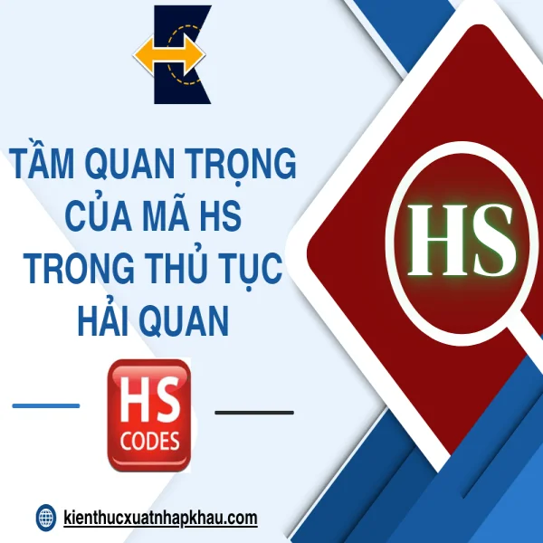 Tầm Quan Trọng Của Mã HS Trong Thủ Tục Hải Quan