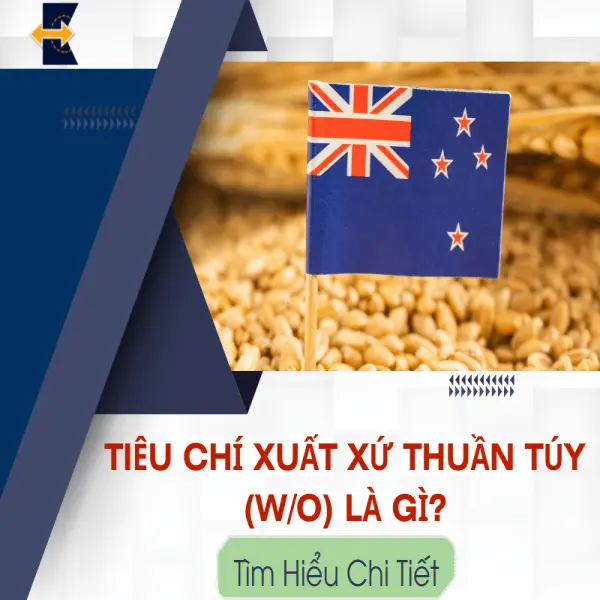 Tiêu Chí Xuất Xứ Thuần Túy (W/O) Là Gì? Tìm Hiểu Chi Tiết