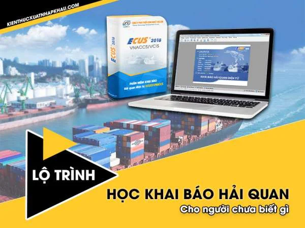 Lộ trình học nghiệp vụ khai báo hải quan cho người chưa biết gì