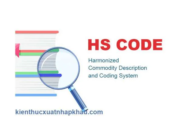 Kinh Nghiệm Tra Mã HS Code Chính Xác