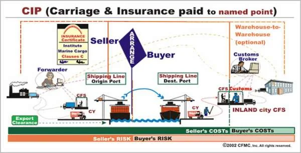 Điều kiện CIP là gì? Công việc của người mua và người bán trong điều kiện CIP