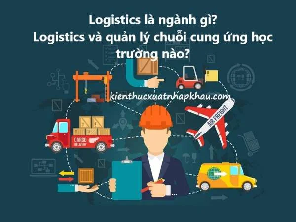 Logistics là ngành gì? Logistics và quản lý chuỗi cung ứng học trường nào?