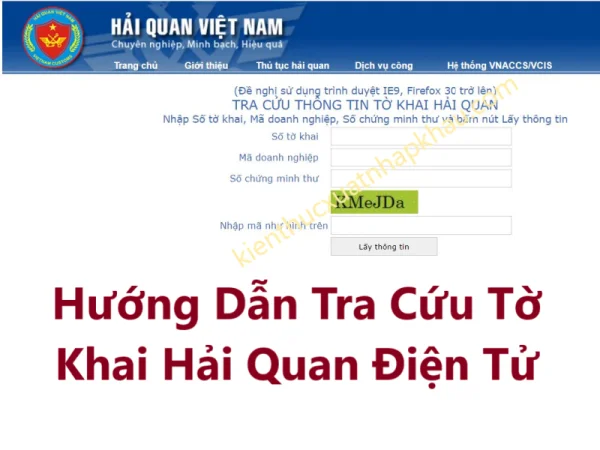 Hướng Dẫn Tra Cứu Tờ Khai Hải Quan Điện Tử