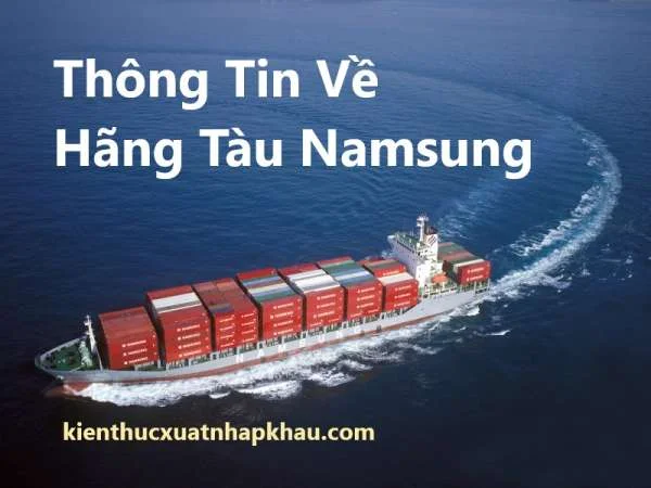 Thông Tin Về Hãng Tàu Namsung