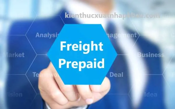 Freight Prepaid Là Gì? Phân biệt Freight Prepaid và Freight Collect