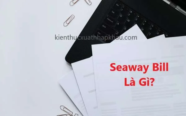 Seaway Bill Là Gì? Chức Năng Của Seaway Bill