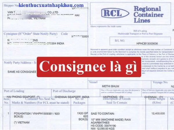 Consignee Là Gì? Sự Khác Nhau Giữa Consignee Và Notify Party