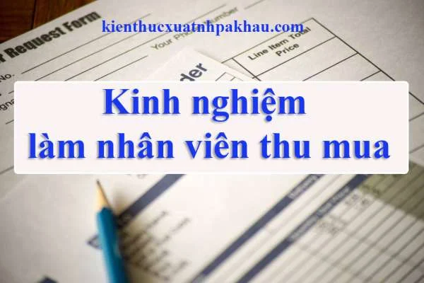 Kinh Nghiệm Của Nhân Viên Thu Mua - Những Kỹ Năng Cần Thiết