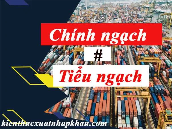 Chính Ngạch Là Gì? Phân Biệt Xuất Khẩu Tiểu Ngạch Và Chính Ngạch