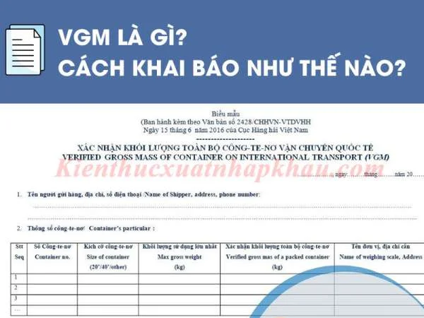 VGM Là Gì Trong Xuất Nhập Khẩu? Cách Tính Và Khai Báo VGM