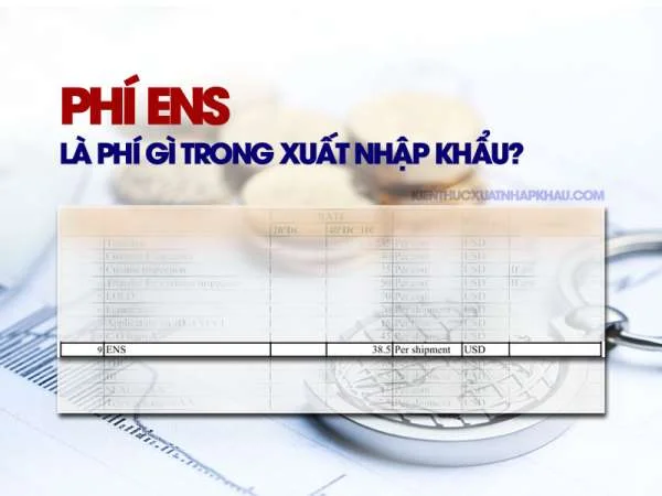 Phí ENS Là Phí Gì Trong Xuất Nhập Khẩu?