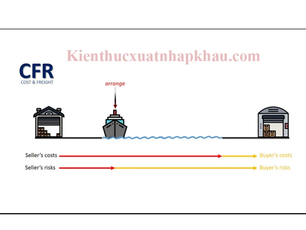 CFR Là Gì? Giá CFR Là Gì? Tìm Hiểu Điều Kiện CFR Incoterms 2020