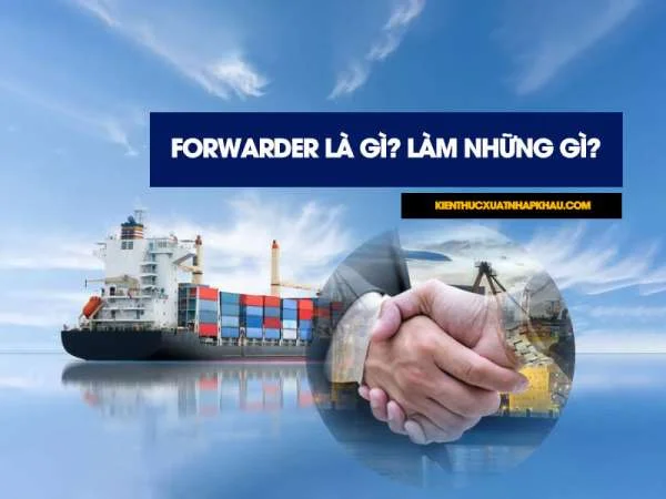 Forwarder Là Gì? Làm Những Gì? Tìm Hiểu Về Nghề Forwarder