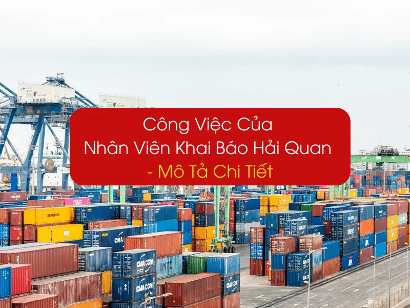 Yêu cầu tuyển dụng nhân viên khai báo hải quan