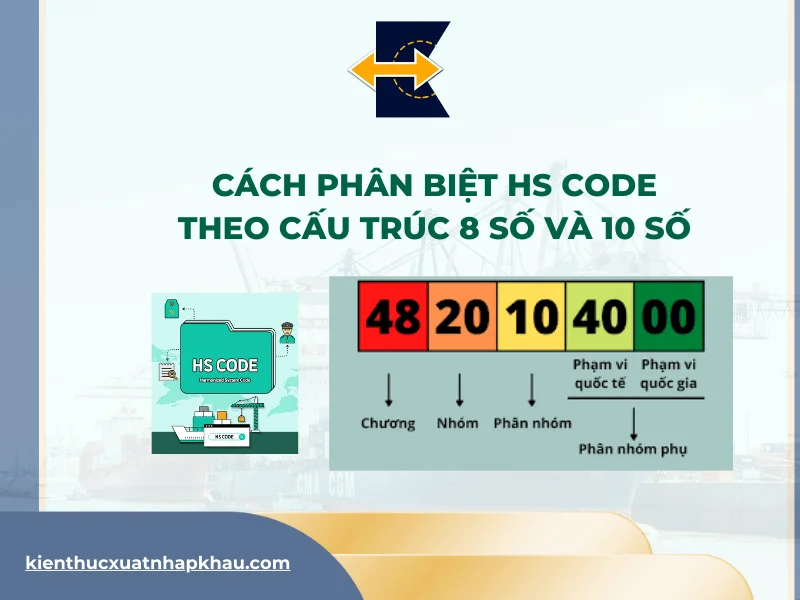 cach-phan-biet-hs-code-theo-cau-truc-8-so-va-10-so