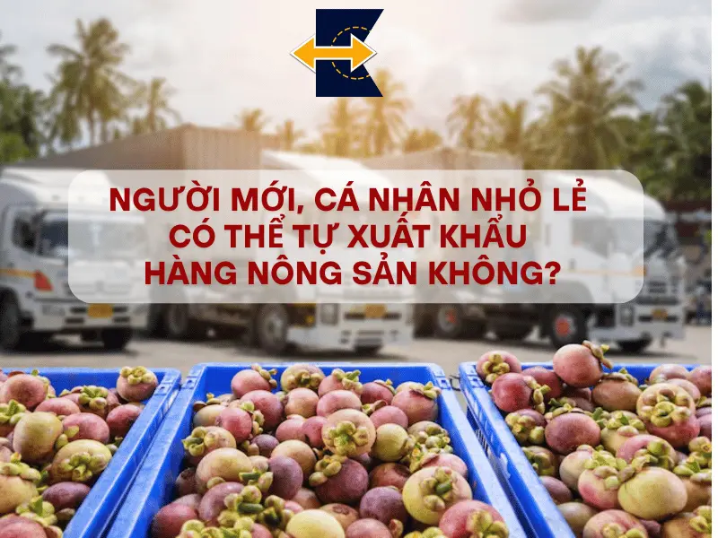 nguoi-moi-co-the-tu-xuat-khau-nong-san-khong