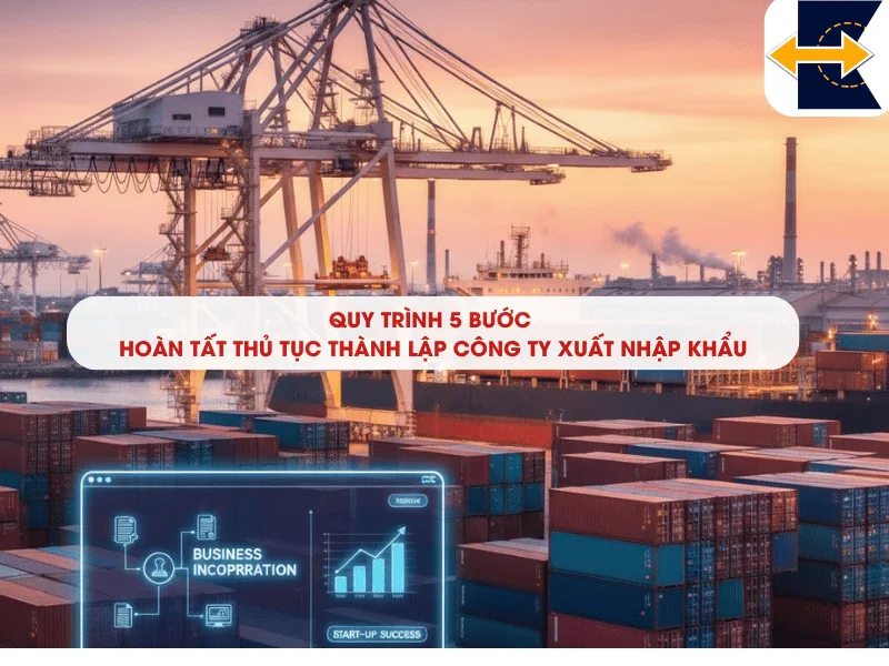 quy-trinh-hoan-tat-thu-tuc-thanh-lap-cong-ty-xuat-nhap-khau