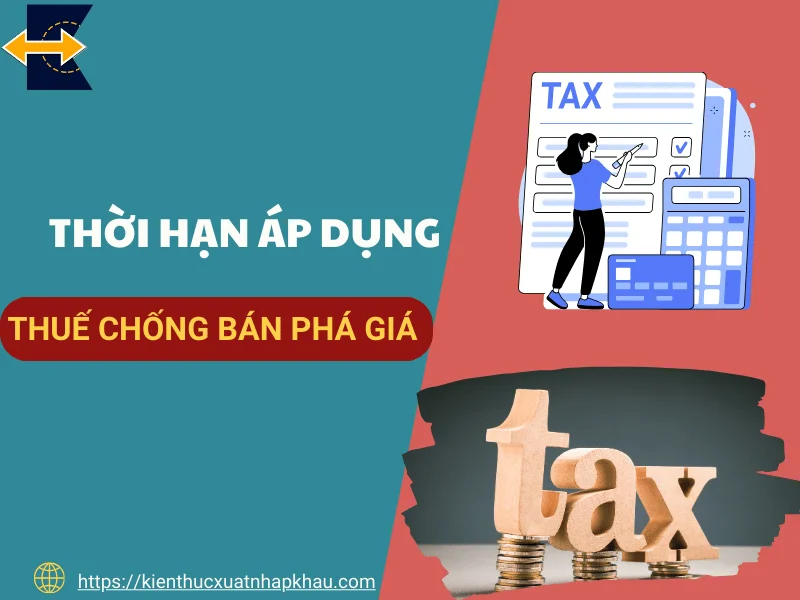 thoi-han-ap-dung-thue-chong-ban-pha-gia