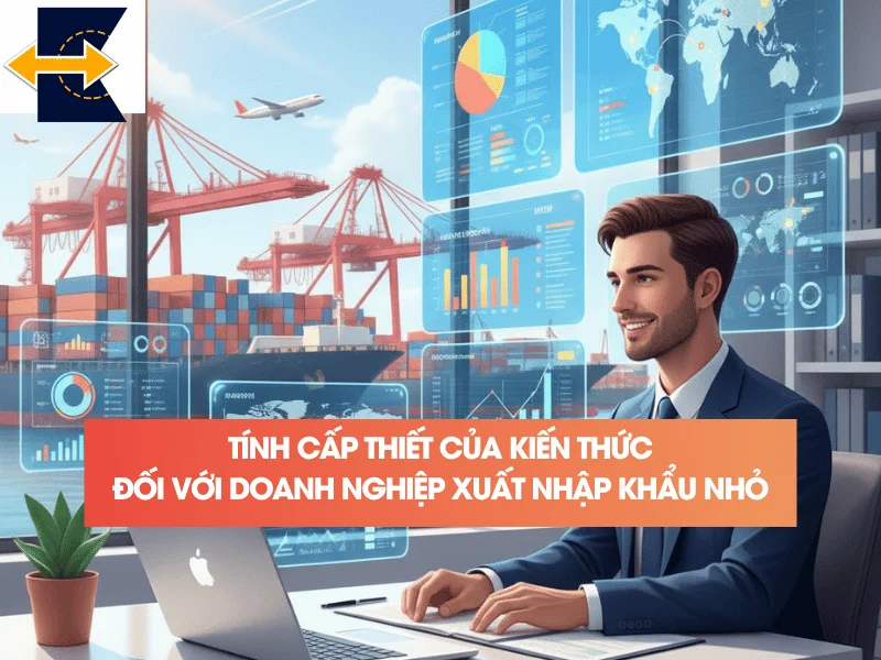 tinh-cap-thiet-cua-kien-thuc-voi-doanh-nghiep-xuat-nhap-khau-nho