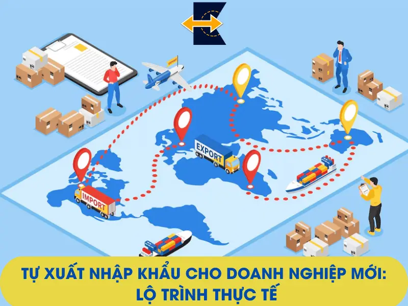 tu-xuat-nhap-khau-cho-doanh-nghiep-moi