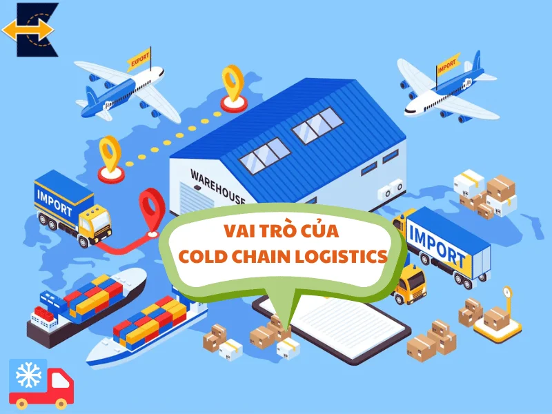 vai-tro-cua-Cold-Chain-Logistics