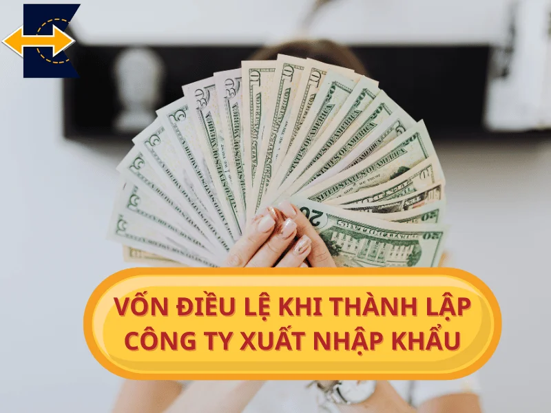 von-dieu-le-khi-thanh-lap-cong-ty-xuat-nhap-khau