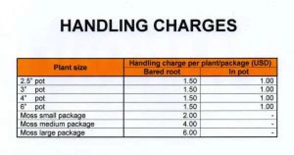 Phí Handling charge là gì?