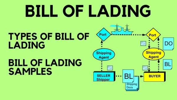 Các thông tin chi tiết trên Bill of Lading (B/L)
