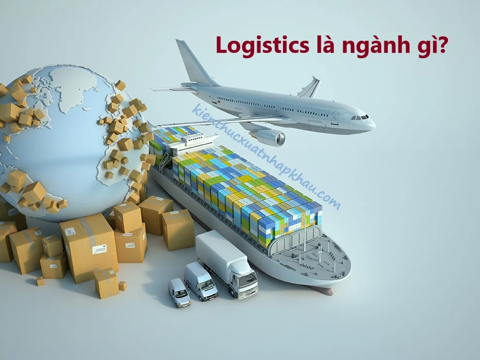 Logistics là ngành gì? Logistics và quản lý chuỗi cung ứng học trường nào?