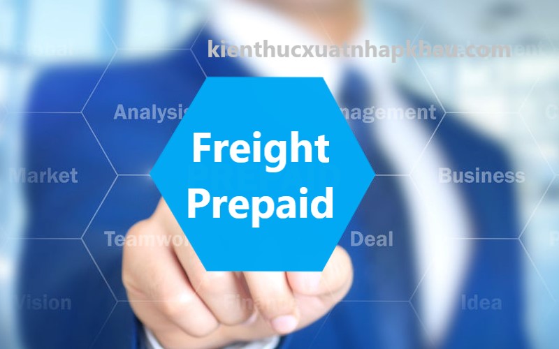 Freight Prepaid Là Gì? Phân biệt Freight Prepaid và Freight Collect